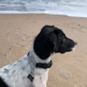 Meet your Posher, Howard